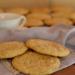 Galletas de canela